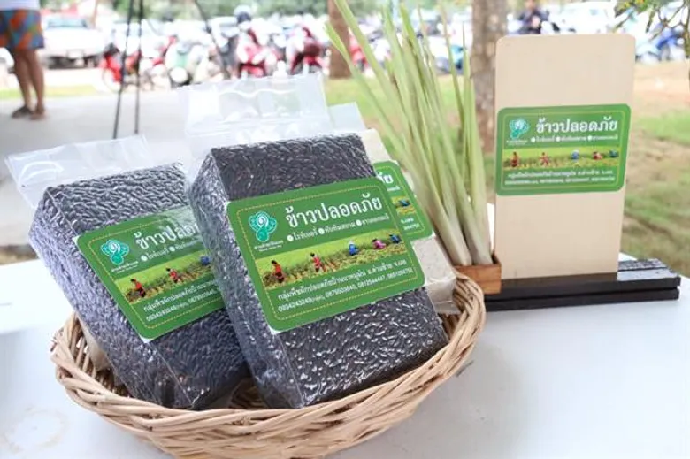 “น้ำซับ”จากผืนป่า สู่ ตลาดสุขภาพบ้านนาหมูม่น ตลาดที่เป็นมากกว่าตลาด