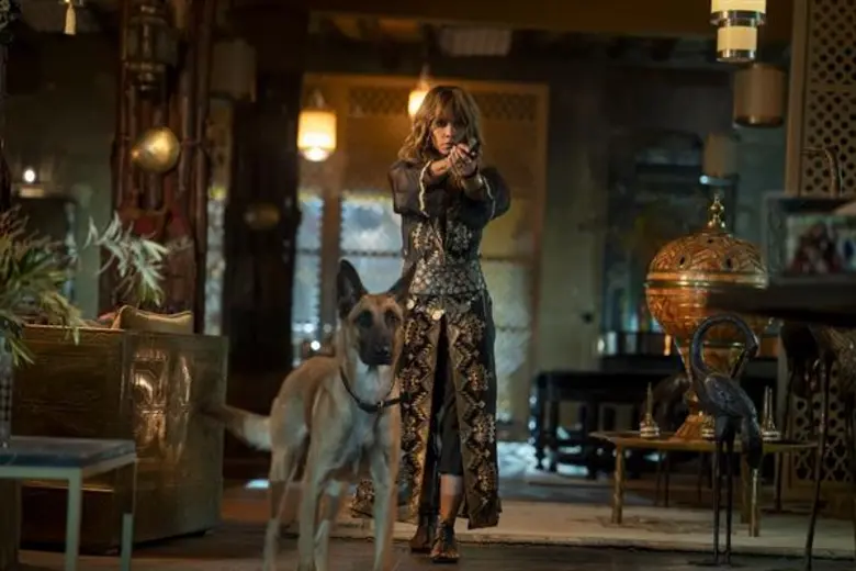 Movie Guide: ฮัลลี่ เบอร์รี่ ทุ่มสุดตัว เทรนนิ่งหมาพันธุ์ดุใน JOHN WICK: CHAPTER 3 – PARABELLUM”