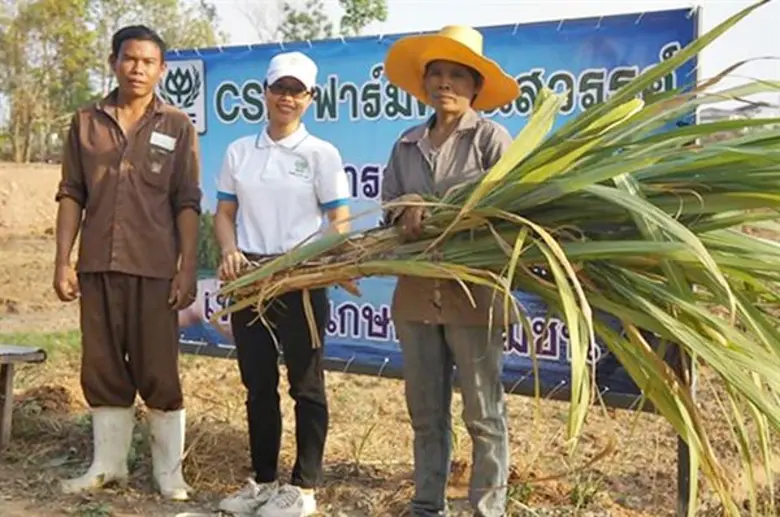 ปี 2562 ประเทศไทยเสี่ยงเผชิญวิกฤตภัยแล้งม...