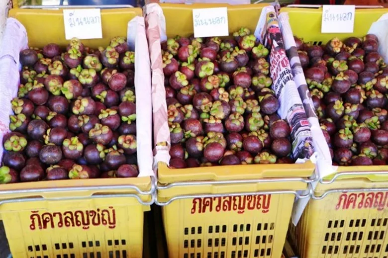 ตลาดสี่มุมเมืองพร้อมรองรับผลไม้ภาคตะวันออก "ทุเรียน เงาะ มังคุด..."