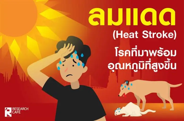 อุณหภูมิมีแนวโน้มว่าจะสูงขึ้นในทุก ๆ ปี จ...