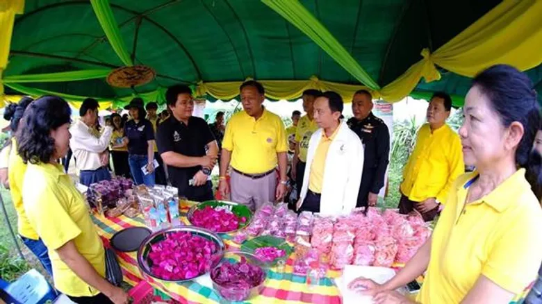 วิสาหกิจชุมชนแก้วมังกร ต.บ้านถิ่น ผลสำเร็จกลุ่มแปลงใหญ่ ต่อยอดผลผลิตระดับคุณภาพ