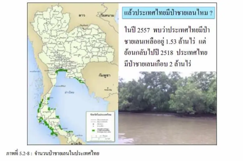 งานวิจัย ยืนยัน ระบบนิเวศป่าชายเลนไทย มีมูลค่าทางเศรษฐกิจ เบื้องต้นพบพื้นที่ป่าชายเลน 16 อำเภอใน 8 จังหวัด คุ้มค่าแก่การอนุรักษ์