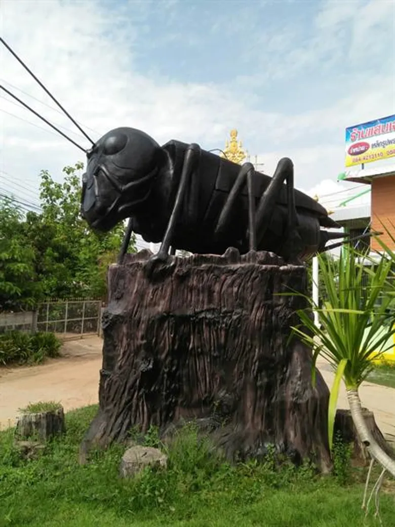ฟาร์มจิ้งหรีด ทางเลือกเกษตรกรเสริมอาชีพ สร้างร้ายได้หลักแสนต่อปี