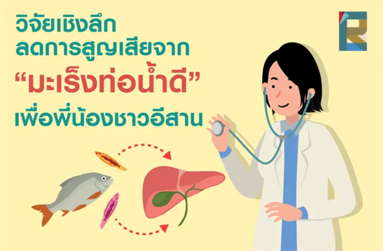 วิจัยรักษาเชิงลึก ลดการสูญเสียจาก “มะเร็งท่อน้ำดี” สาเหตุหลักพรากชีวิตคนอีสาน