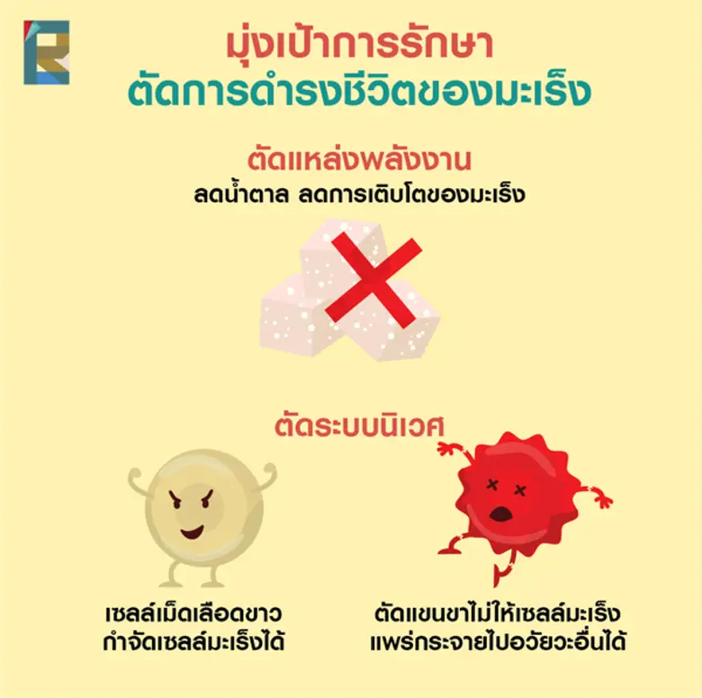 วิจัยรักษาเชิงลึก ลดการสูญเสียจาก “มะเร็งท่อน้ำดี” สาเหตุหลักพรากชีวิตคนอีสาน