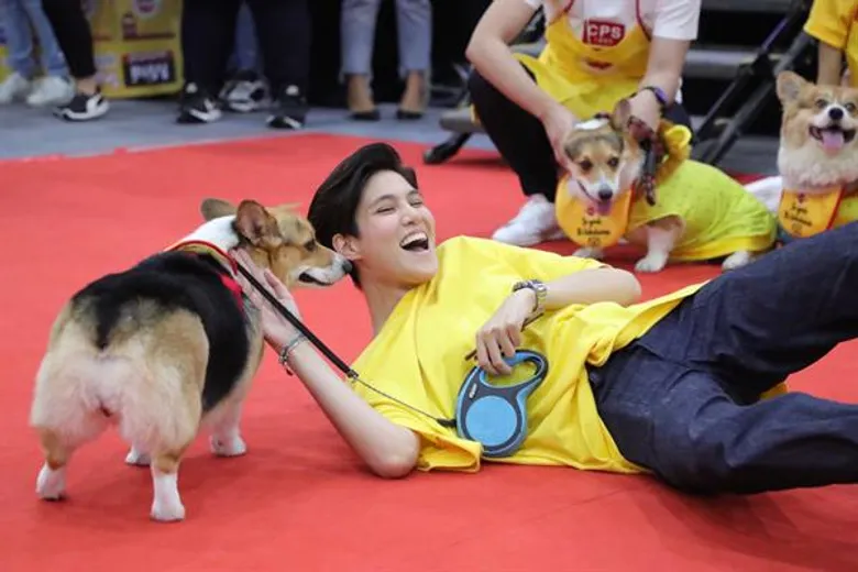หมอเจี๊ยบ-ลลนา เผยเคล็ดลับการดูแลสุนัขตัวโปรด “แฟรงค์” ในงานเปิดตัว เพดดิกรี มินิ อาหารสูตรใหม่เอาใจสุนัขพันธุ์เล็ก