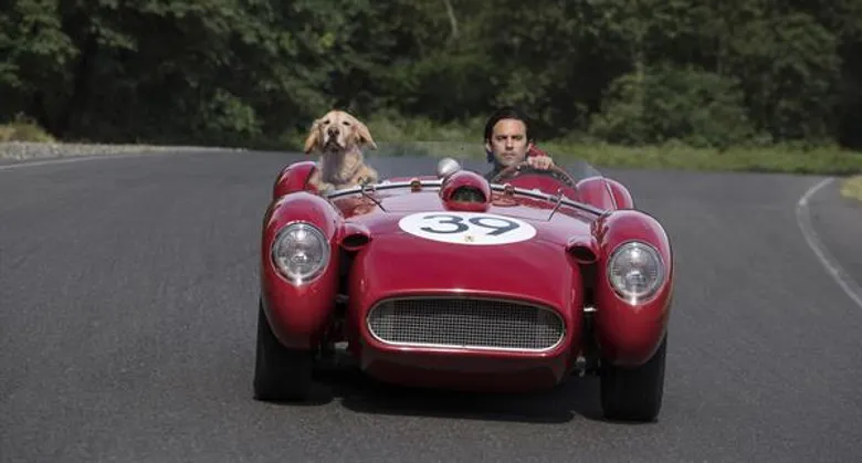 Movie Guide: ตัวอย่างแรกซับไทย "The Art of Racing in the Rain" พบกับสุนัข ที่จะมาสอนคนทั้งโลก ในการเป็นคน!