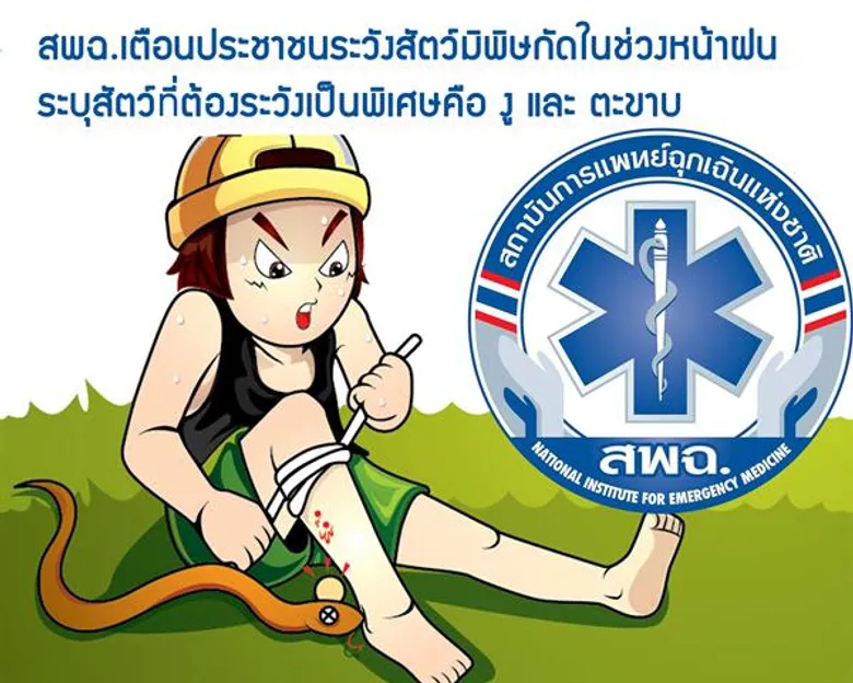 สพฉ.เตือนประชาชนให้ระวังสัตว์มิพิษกัดในช่วงหน้าฝน