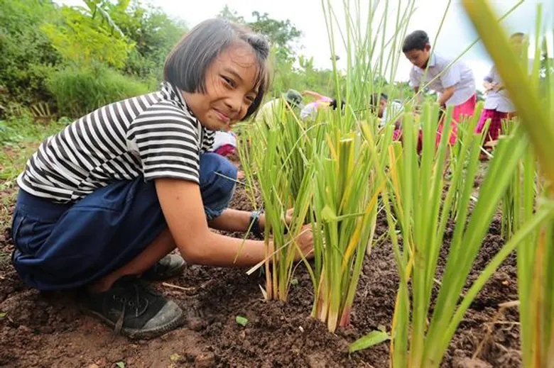“บางจากฯ” ชวนก๊วนเซเลบฯ หัวใจสีเขียว ร่วมลงแรงปลูกป่า “Stop Soil Erosion, Save our Future หยุดการชะล้างพังทลายของดิน คืนชีวิตให้แก่นมะกรูด ด้วยศาสตร์พระราชา”
