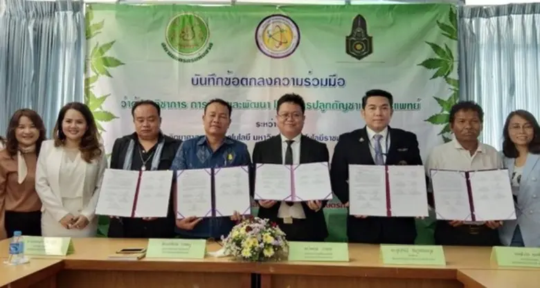 ราชมงคลพระนคร ลงนามร่วมมือทางวิชาการ 4 องค์กร วิจัยและพัฒนาโครงการปลูกกัญชาเพื่อการแพทย์