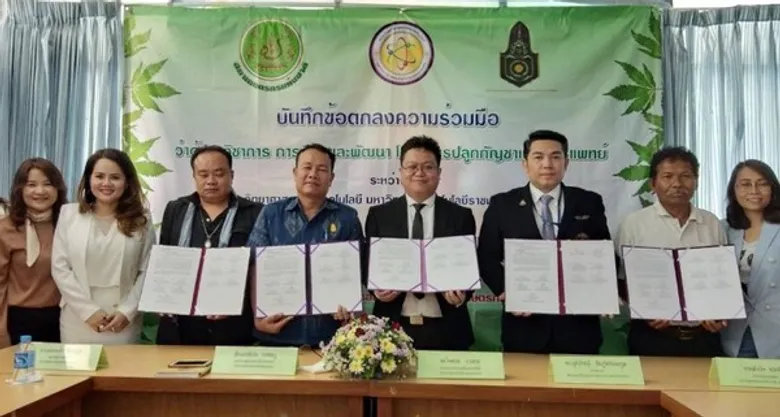 ราชมงคลพระนคร ลงนามร่วมมือทางวิชาการ 4 องค์กร วิจัยและพัฒนาโครงการปลูกกัญชาเพื่อการแพทย์