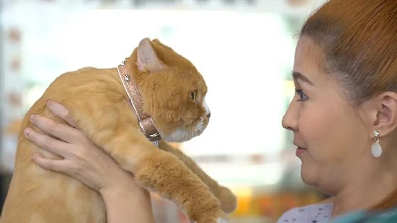 สุขภาพมาก่อน “โฟกัส” โดนติวเข้มการดูแลเจ้าเหมียว ในรายการ “ชีวิตติดแมว” 23 มิ.ย. นี้