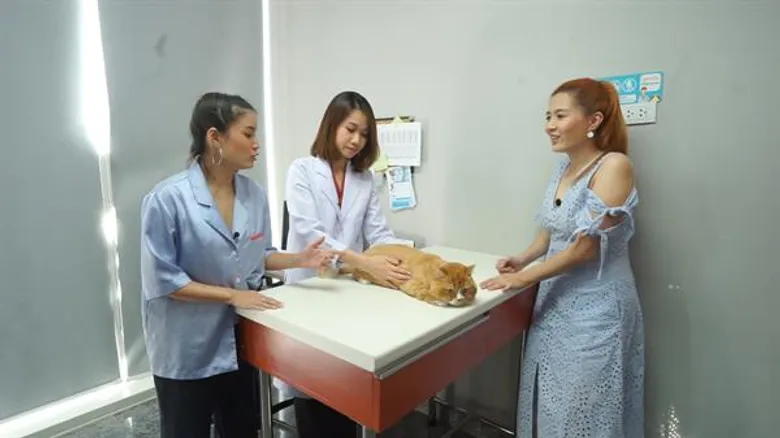 สุขภาพมาก่อน “โฟกัส” โดนติวเข้มการดูแลเจ้าเหมียว ในรายการ “ชีวิตติดแมว” 23 มิ.ย. นี้