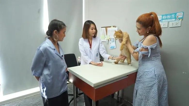 สุขภาพมาก่อน “โฟกัส” โดนติวเข้มการดูแลเจ้าเหมียว ในรายการ “ชีวิตติดแมว” 23 มิ.ย. นี้