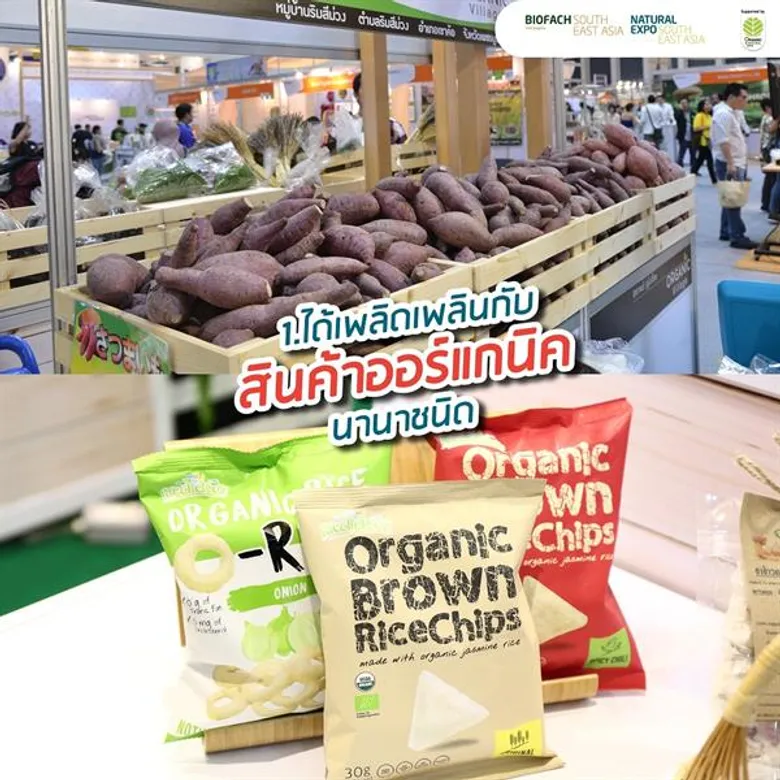 5 เหตุผลที่พลาดไม่ได้กับงานตลาดออร์แกนิคสากล 2019 งานออแกนิคไลฟ์สไตล์สุดเก๋ ที่จะทำให้รู้ว่า เมืองไทยมีแต่สินค้าดีโกอินเตอร์!
