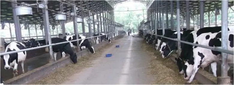 นางอัญชนา ตราโช รองเลขาธิการสำนักงานเศรษฐ...