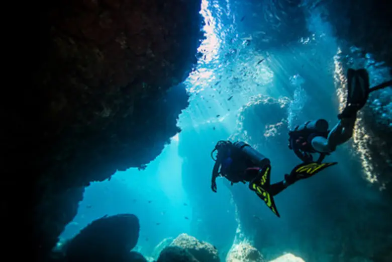 ในวันที่ 21 กรกฎาคม 2562 PADI(R) Dive Cen...