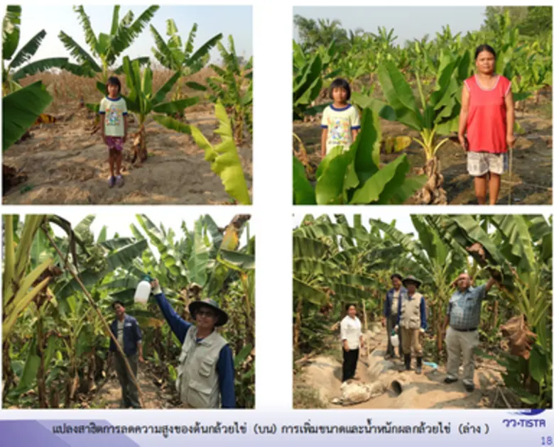 คณะผู้ตรวจราชการ กระทรวงการอุดมศึกษา วิทยาศาสตร์ วิจัยและนวัตกรรม ลงพื้นที่ตรวจติดตามการดำเนินโครงการ InnoAgri วว. ด้านการแปรรูปผลผลิตการเกษตรในจังหวัดกำแพงเพชร