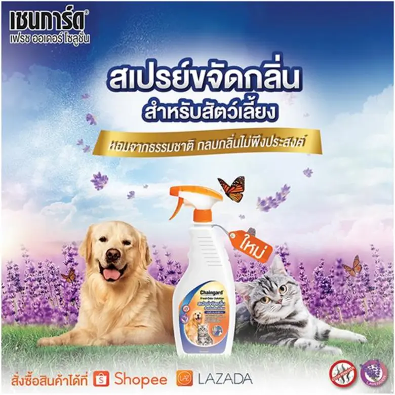 "เชนการ์ด" รุกตลาดผลิตภัณฑ์สำหรับสัตว์เลี...