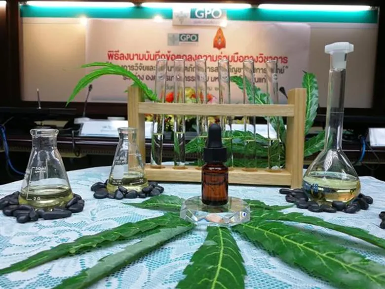 มข.ผนึก5คณะวิจัยสารสกัดกัญชาทางการแพทย์ ร่วมกับองค์การเภสัชกรรม (อภ.)