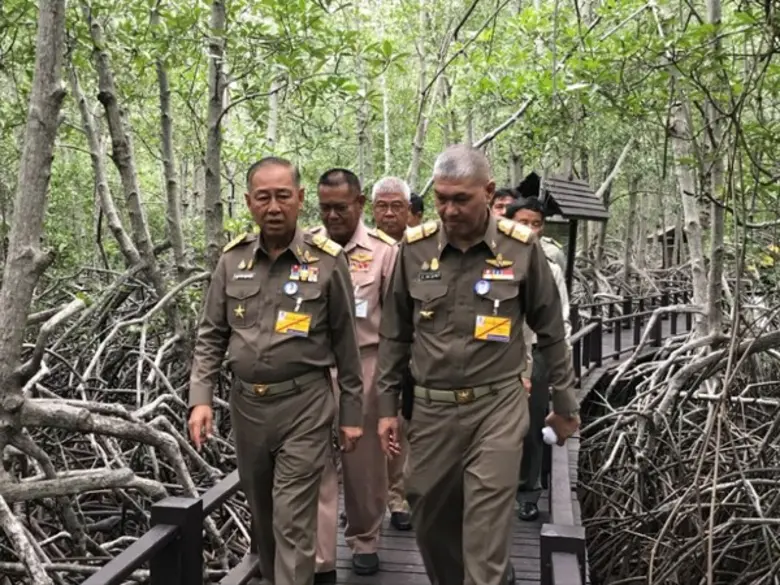 โครงการพัฒนาป่าไม้ปากแม่น้ำปราณบุรีอันเนื่องมาจากพระราชดำริ อ.ปราณบุรี จ.ประจวบคีรีขันธ์ วันนี้มีความสมบูรณ์ เอื้อประโยชน์ราษฎรชายฝั่งได้ยั่งยืน