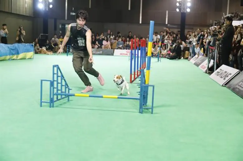 เร็ว ๆ นี้สาวกคนรักสัตว์โดยเฉพาะเหล่าทาสห...