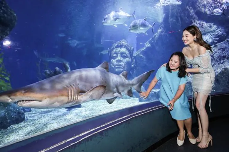 ซีไลฟ์ แบงคอก ส่ง “Message from the Sea…บอกรักจากท้องทะเล” ชวนทุกครอบครัวร่วมสร้าง 'ช่วงเวลาคุณภาพ’ ให้พ่อแม่อบอุ่นใจไปด้วยกัน