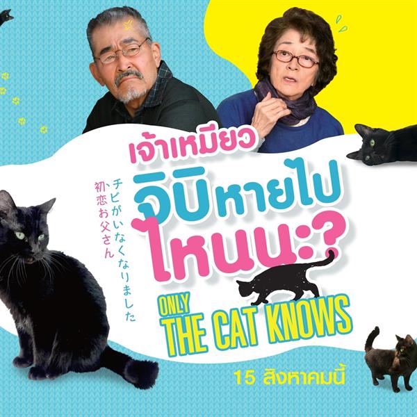 มงคลซีนีม่า ต้อนรับวันแมวโลก 8 สิงหาคม ด้...