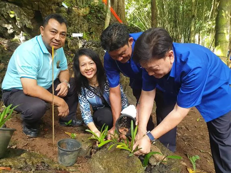 กรมวิชาการเกษตรหวั่นกล้วยไม้รองเท้านารี เหลืองฯ สูญพันธุ์ เร่งปล่อยคืนสู่ป่า ขยายพันธุ์เพิ่มสนองพระราชเสาวนีย์“สมเด็จพระพันปีหลวงฯ"