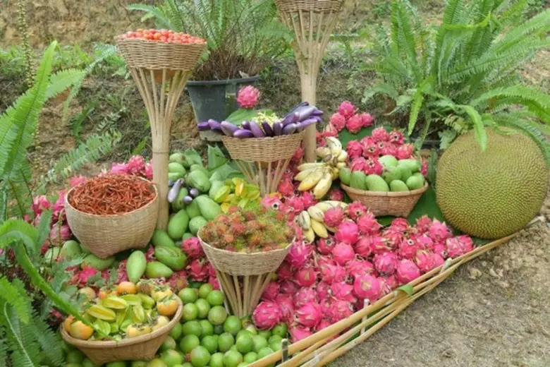 สถานีพัฒนาการเกษตรที่สูงตามพระราชดำริ บ้านสบขุ่น ในสมเด็จพระนางเจ้าสิริกิติ์ พระบรมราชินีนาถ พระบรมราชชนนีพันปีหลวง ยกระดับคุณภาพชีวิตราษฎรอยู่อย่างสุขแบบพอเพียง