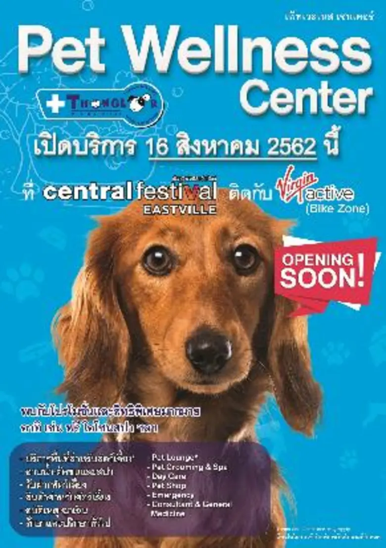 Pet Wellness Center โดยโรงพยาบาลสัตว์ทองห...