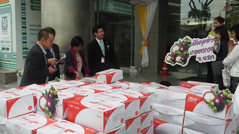 ภาพข่าว: SME D Bank รวมน้ำใจอุดหนุนมังคุดเกษตรกรภาคใต้ กว่า 2 ตัน