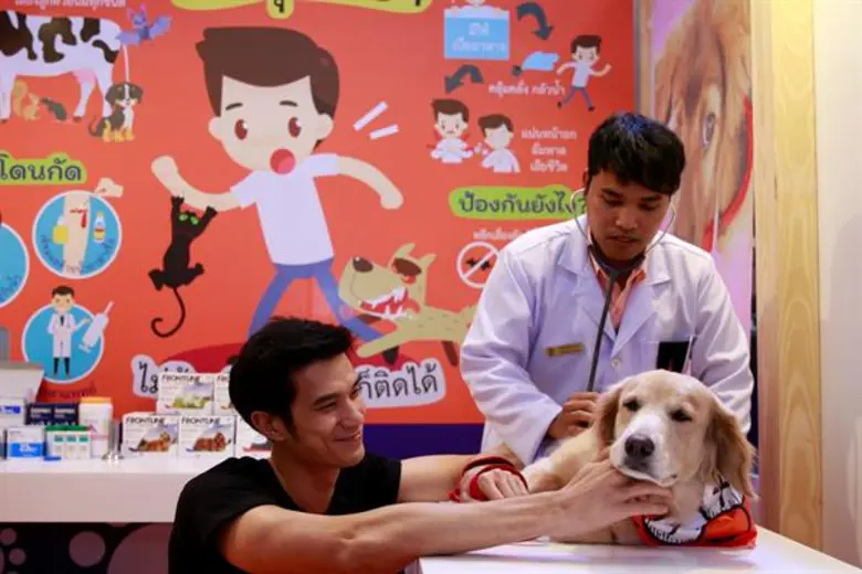 ศูนย์การค้าเซ็นทรัลเฟสติวัล อีสต์วิลล์ ชวนคนรักน้องหมาไม่ควรพลาด "รวมพลังชาวสี่ขา" มาสนุกซ่าส์ในเมืองพันธุ์บ๊อกไปกับ Dog’s Ville 2019 : Dog Nation ประเทศจำลองสำหรับน้องหมา