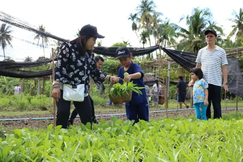 ย่างเข้าสู่ช่วงปลายฝนต้นหนาวแล้ว วิถีการก...