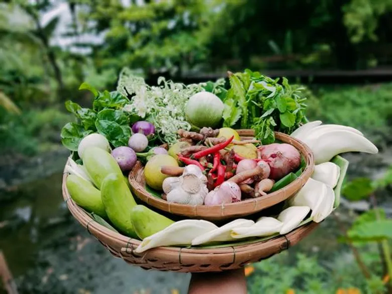 สวนสามพรานจุดประกายเปลี่ยนแปลงวิถีบริโภค ชวนกินอาหารเป็นยาเสริมภูมิคุ้มกันร่างกาย เปิดไอเดียเมนูออร์แกนิกต้านหวัด รับมือปลายฝนต้นหนาว
