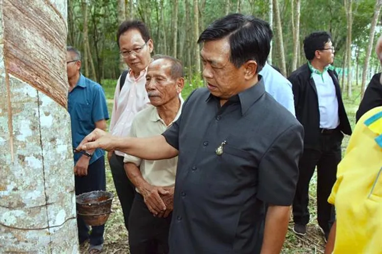 ภาพข่าว: ก.เกษตรฯ ชูนโยบาย 'ปาท่องโก๋'