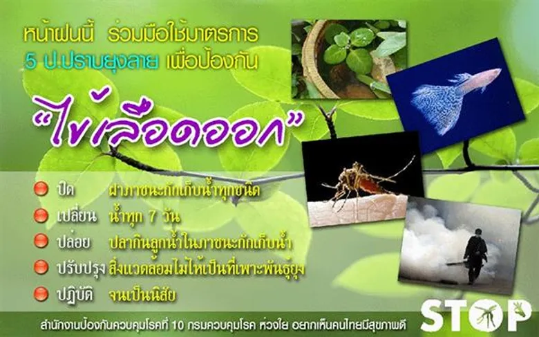 ไข้เดงกีและไข้เลือดออก… เฝ้าระวังโรคร้ายช่วงฤดูฝน