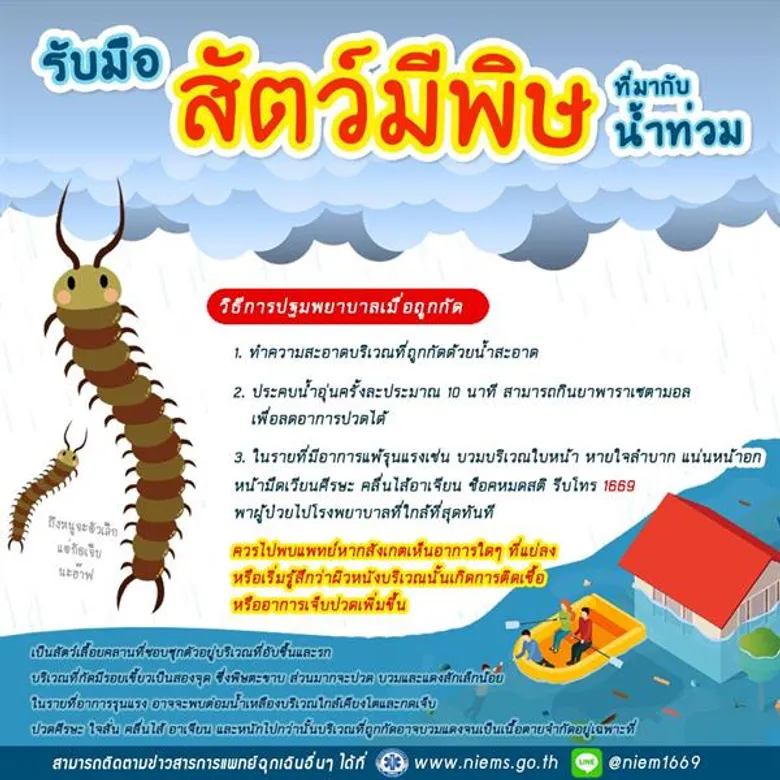 สพฉ.เตือนประชาชนในพื้นที่น้ำท่วมระวังสัตว์มีพิษกัดระบุ แมงป่อง ตะขาบ งู เป็นสัตว์ที่มากับน้ำท่วมมากที่สุด