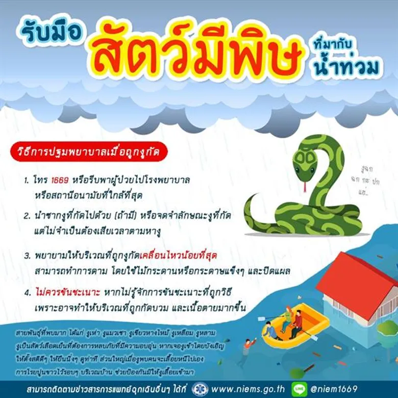 สพฉ.เตือนประชาชนในพื้นที่น้ำท่วมระวังสัตว์มีพิษกัดระบุ แมงป่อง ตะขาบ งู เป็นสัตว์ที่มากับน้ำท่วมมากที่สุด