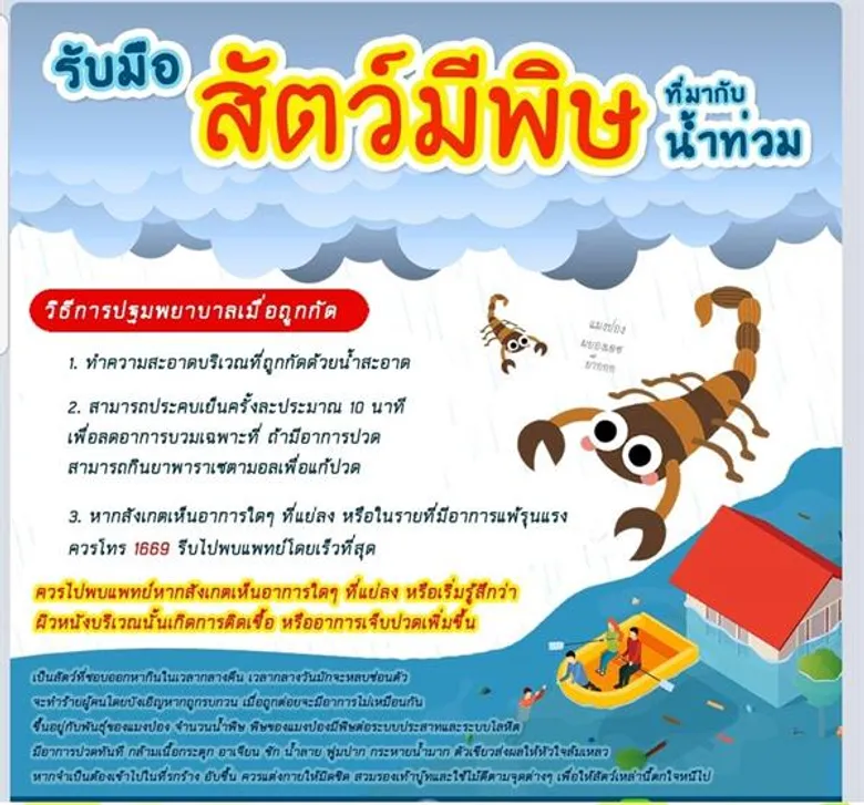 สพฉ.เตือนประชาชนในพื้นที่น้ำท่วมระวังสัตว์มีพิษกัดระบุ แมงป่อง ตะขาบ งู เป็นสัตว์ที่มากับน้ำท่วมมากที่สุด