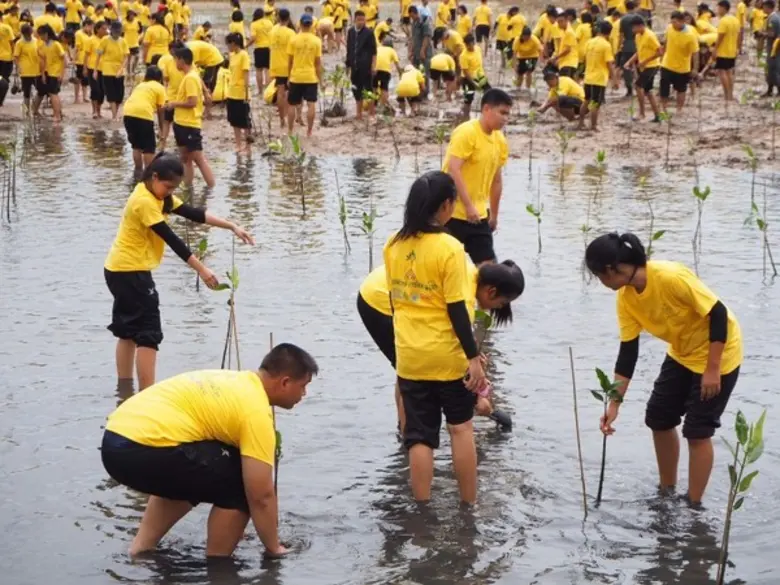 ทช. เดินหน้าโครงการปลูกต้นไม้-ปลูกป่า เฉลิมพระเกียรติ ร่วมสร้างพื้นที่สีเขียวป่าชายเลนเมืองระยอง 100 ไร่ 1 ล้านกล้า