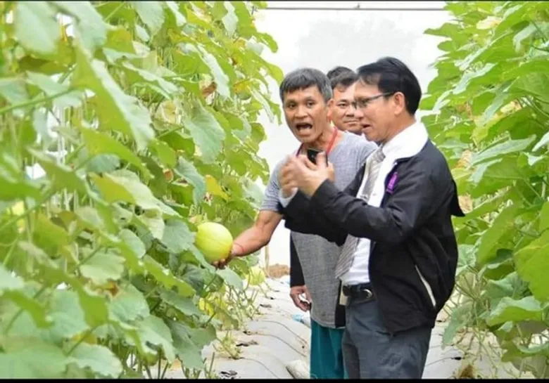 พัฒนาฝีมือแรงงานกรุงเก่าพัฒนา smart farmer