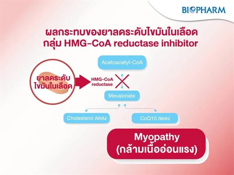 โคคิวเท็นยิ่งลด ความเสื่อมของเซลส์ในร่างกายยิ่งเพิ่ม
