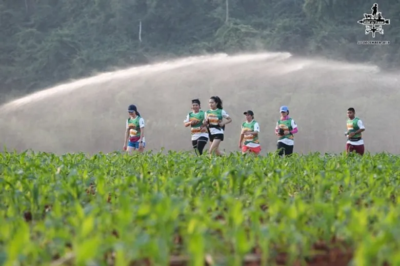 หากไม่อยากพลาดอีกครั้ง กับงานวิ่งฤดูหนาว ในฟาร์มโชคชัย และไร่สุวรรณ Farm Chokchai Run de Farm ครั้งที่ 2