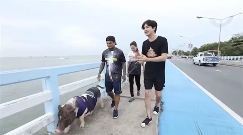 ทีวีไกด์: “เลโอ” พาทึ่ง “หมูแคระ นักวิ่งมาราธอน” จ.ชลบุรี ไอดอลสายวิ่ง!!!
