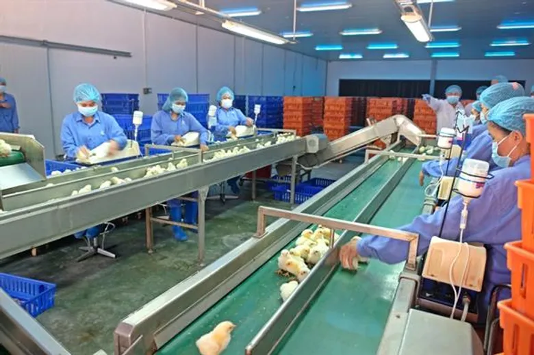 คณะสถานเอกอัครราชทูตไทย ณ กรุงพนมเปญ เยี่ยมชม กิจการ ซี.พี. กัมพูชา