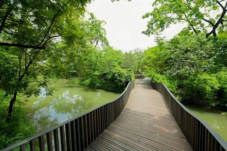 CHECK-IN...10 พิกัดแชะ @3 สวนสวยกลางเมืองที่สายวิ่ง TMB | ING PARKRUN 2019 ไม่ควรพลาด!