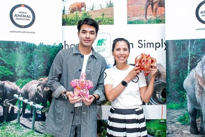 องค์กรพิทักษ์สัตว์แห่งโลกสนับสนุน “ช้างชิล” สู่ต้นแบบปางช้างเพื่อการอนุรักษ์อย่างแท้จริง