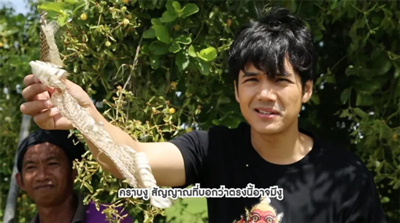 ทีวีไกด์: “นิกกี้” พาทึ่งอาชีพเสี่ยงอันตรายที่สุด!!! “นักล่าอสรพิษด้วยมือเปล่า” จ.สระบุรี